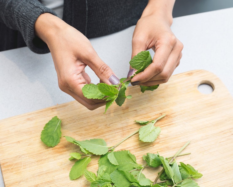 Imagem do curso Cozinha Vegetariana